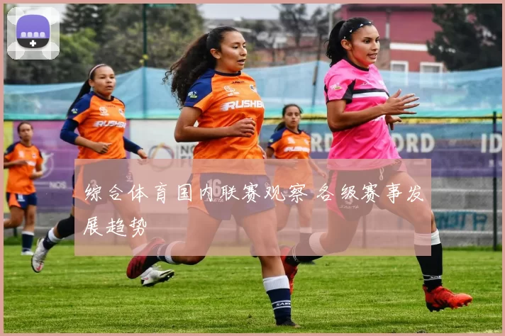 综合体育国内联赛观察 各级赛事发展趋势
