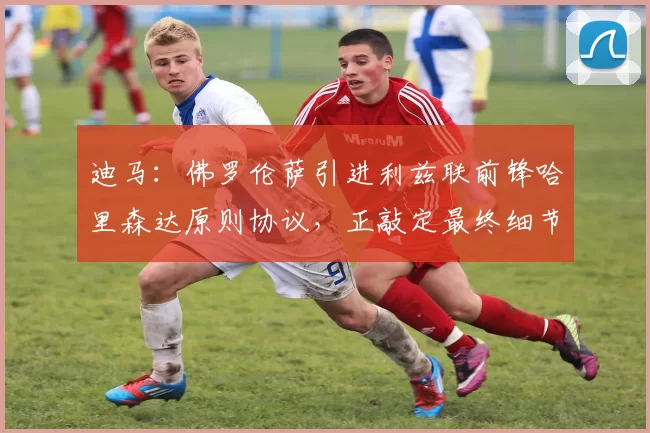 迪马：佛罗伦萨引进利兹联前锋哈里森达原则协议，正敲定最终细节